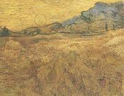 Vincent Van Gogh Wheat Field wtih Reaper and Sun (nn04) china oil painting artist